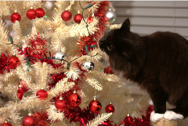 Choosing the Perfect Christmas Tree Skirt